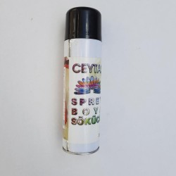 Boya Sökücü Sprey 400ml (ceytaş)